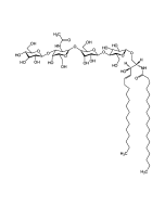 Asialo-Ganglioside GM1