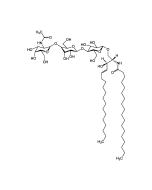 Asialo-Ganglioside GM2