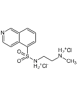 H-8 . dihydrochloride