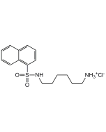 W-5 . hydrochloride