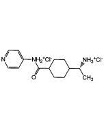 Y-27632 . dihydrochloride