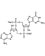 cGAMP . disodium salt