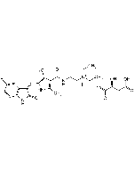 Sunitinib . malate