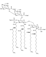 Kdo2-Lipid A (ready-to-use)