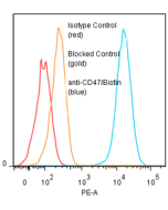 anti-CD47 (human), mAb (ANC2F6) (Biotin)