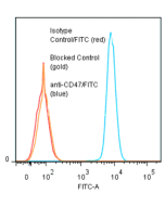 anti-CD47 (human), mAb (ANC2F6) (FITC)