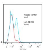 anti-CD244 (human), mAb (ANC2B4/3B12)