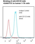 anti-CD133 (human), mAb (ANC9C5)