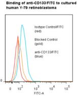 anti-CD133 (human), mAb (ANC9C5) (FITC) 