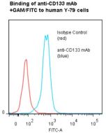 anti-CD133 (human), mAb (ANC9C5) (preservative free) 