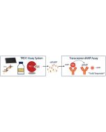 Enzolution&trade; TREX1 Assay System