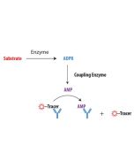 Schematic overview of Transcreener ADPR FP Assay.