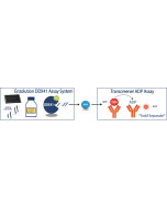 Enzolution&trade; DDX41 ATPase FP Assay System