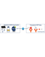 Enzolution&trade; DHX9 ATPase FI Assay System