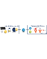 Schematic overview of the Enzolution™ SIRT1 TR-FRET Assay System with the Transcreener OAADPr SIRT Assay.