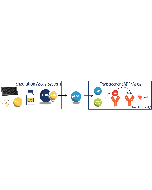 Schematic overview of the Enzolution&trade; PARP1 FP Assay System with the Transcreener pADPr PARP FP Assay.