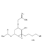 Lupallene D
