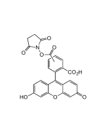 5(6)-FAM N-succinimidyl ester