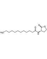 N-Dodecanoyl-L-homoserine lactone