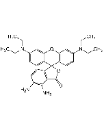 DAR-1 Solution