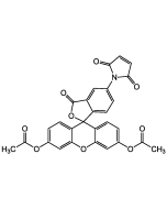 Fluorescein diacetate 5-maleimide