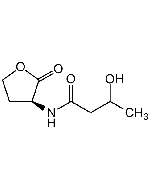 3-Hydroxy-butanoyl-L-homoserine lactone