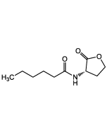 N-Hexanoyl-L-homoserine lactone