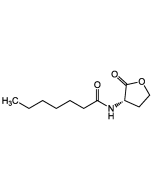 N-Heptanoyl-L-homoserine lactone