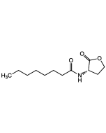 N-Octanoyl-L-homoserine lactone