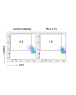 CD274 [B7-H1/PD-L1] (mouse):Fc (mouse) (rec.)