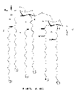 Lipid A from E. coli R515 (Re) TLRpure Sterile Solution