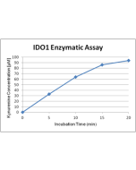 Activity assay figure of IDO (human) (rec.) (His) (highly active) (AG-40B-0161). IDO (human) has been tested with a protocol using catalase (see our website). The specific activity has been calculated to be >100’000U/mg protein with L-tryptophan as substr