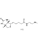 N-(2-Aminoethyl)biotinamide hydrochloride