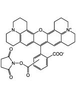 5(6)-ROX N-succinimidyl ester