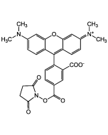 5-TAMRA N-succinimidyl ester