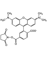 6-TAMRA N-succinimidyl ester