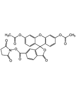 6-CFDA N-succinimidyl ester