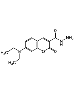 7-(Diethylamino)coumarin-3-carbohydrazide