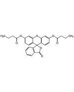 Fluorescein dibutyrate