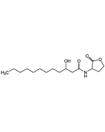 N-(3-Hydroxydodecanoyl)-DL-homoserine lactone