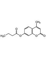 4-Methylumbelliferyl butyrate