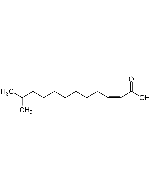 cis-11-Methyl-2-dodecenoic acid