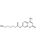 Oenanthacid-4-(trifluormethyl)-umbelliferone