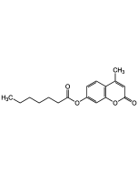 4-Methylumbelliferyl heptanoate