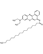 N-Octadecanoyl-Nile Blue