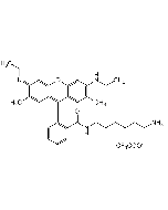 N-(6-Aminohexyl)rhodamine 6G-amide bis(trifluoroacetate)