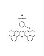 Sulforhodamine 101 acid chloride