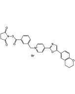 N-(3-Succinimidyloxy-carbonyl-phenyl)-methyl-4-(2-(6-(3,4-dihydro-2H-1-benzopyranyl))-5-oxazolyl)-pyridinium bromide