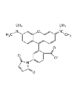 Tetramethylrhodamine-6-maleimide