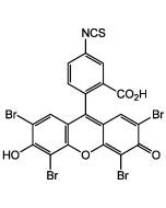 Eosin-5-isothiocyanate